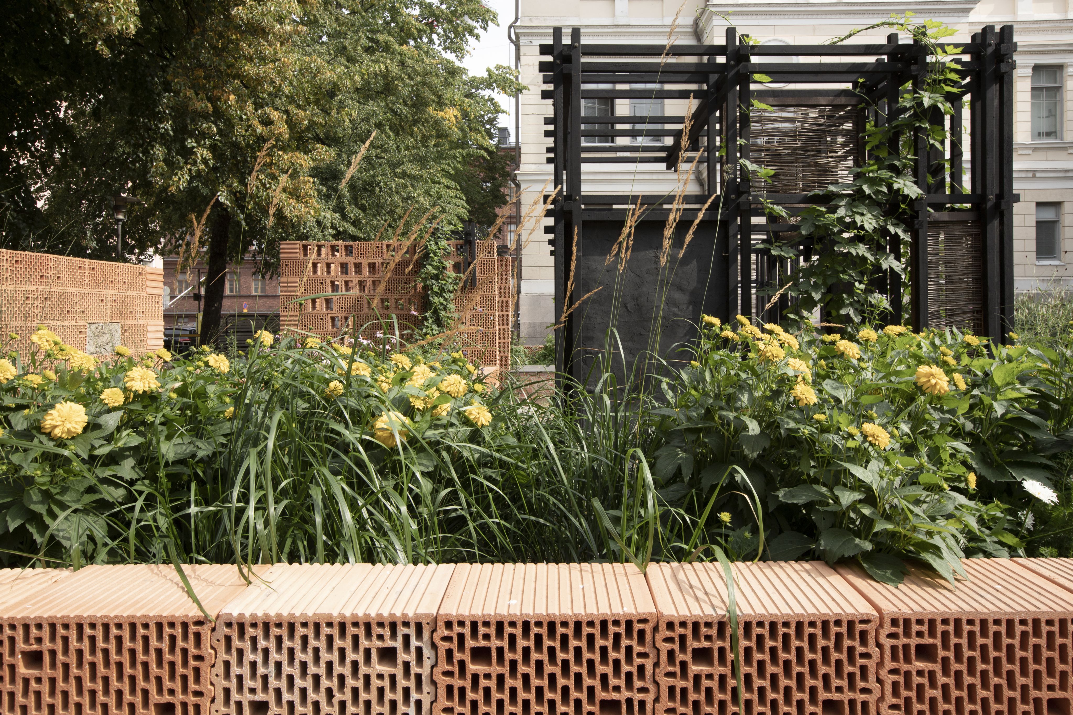 Yellow flowers in front of a brick wall.