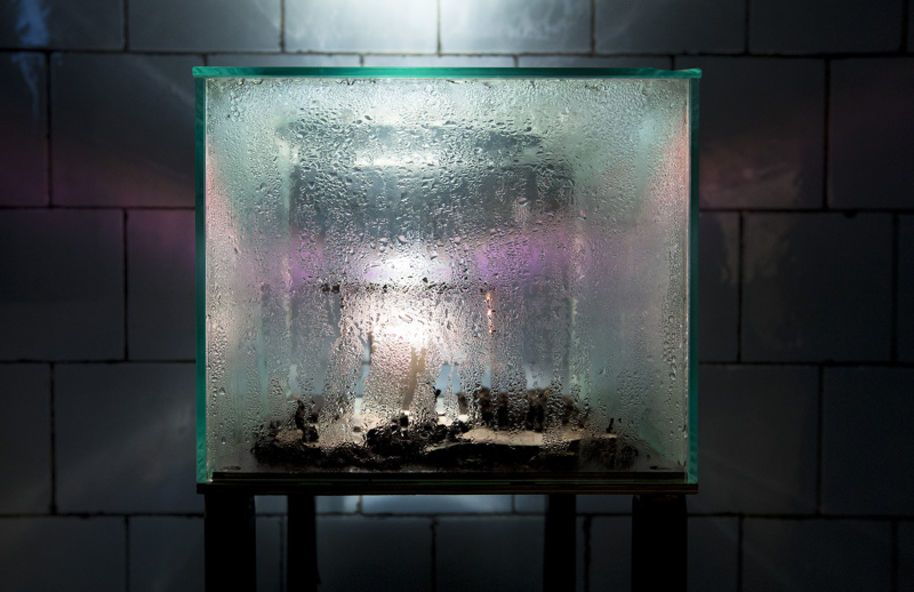 a glass box with moisture inside