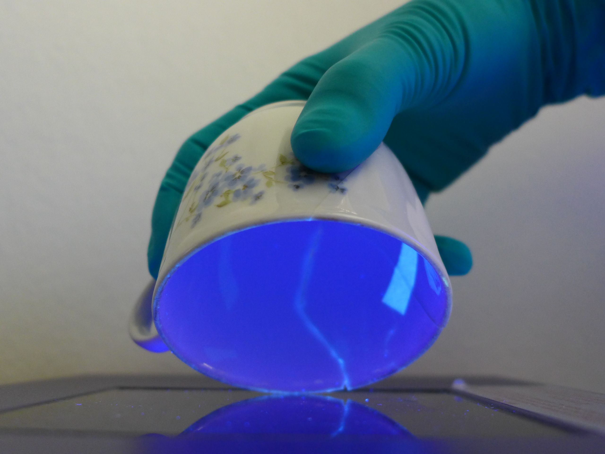 ceramic mug with microbial growth in uv light