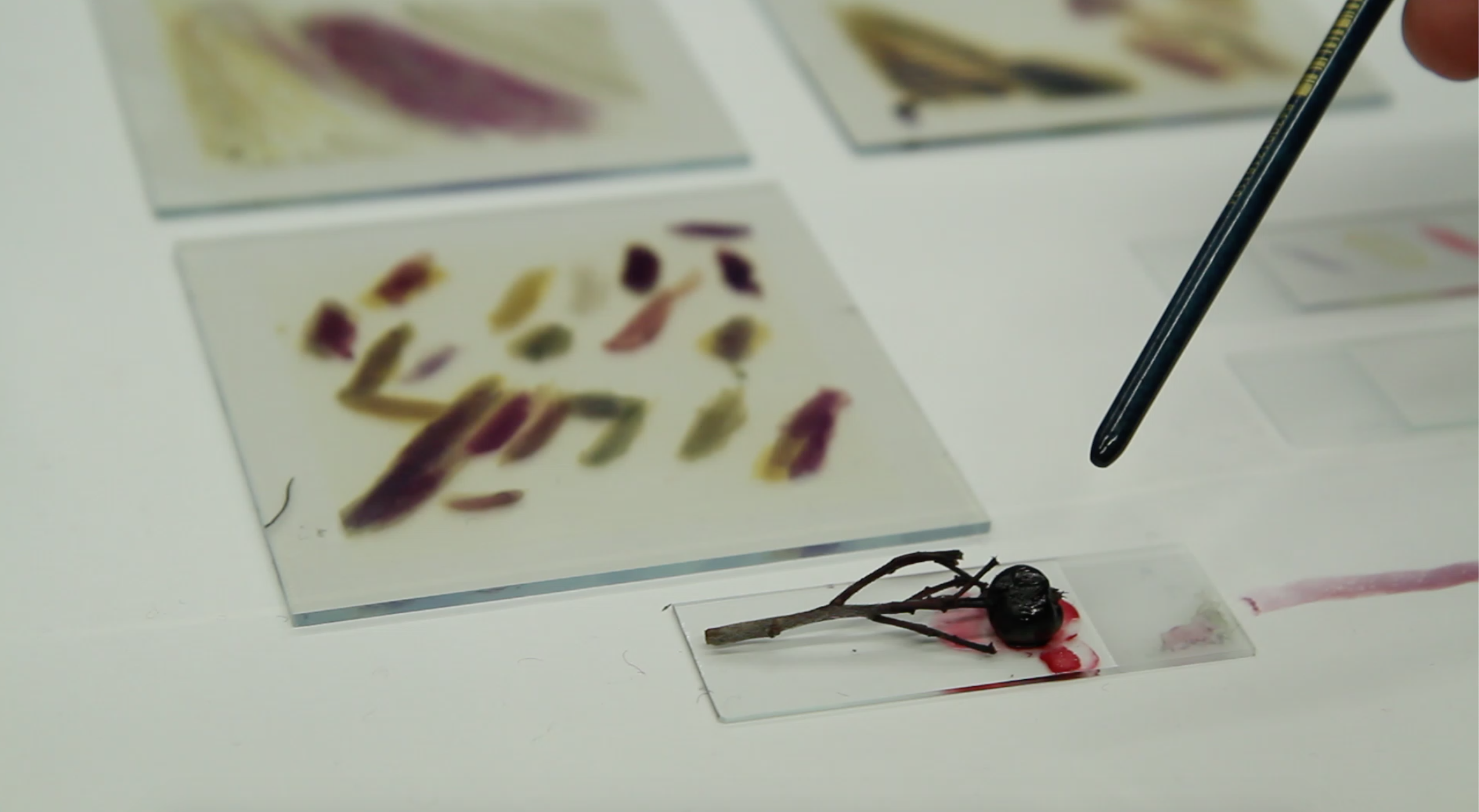 Aamo artscience -ryhmän Blck Vlvt, käsinmaalatutuista aurinkokennoista muodostaa toimivan marja-aronia-aurinkopaneelimaalaus, joka tulkitsee J. M. William Turnerin kuuluisan Snow Storm -maalauksen värejä ja kuvioita.