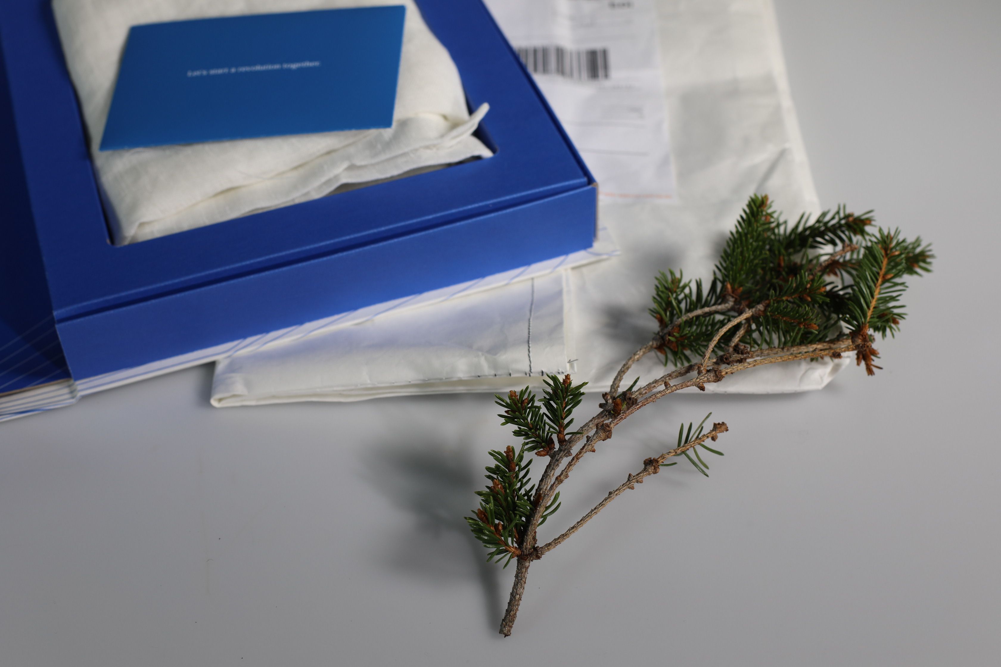 box and twig from spruce