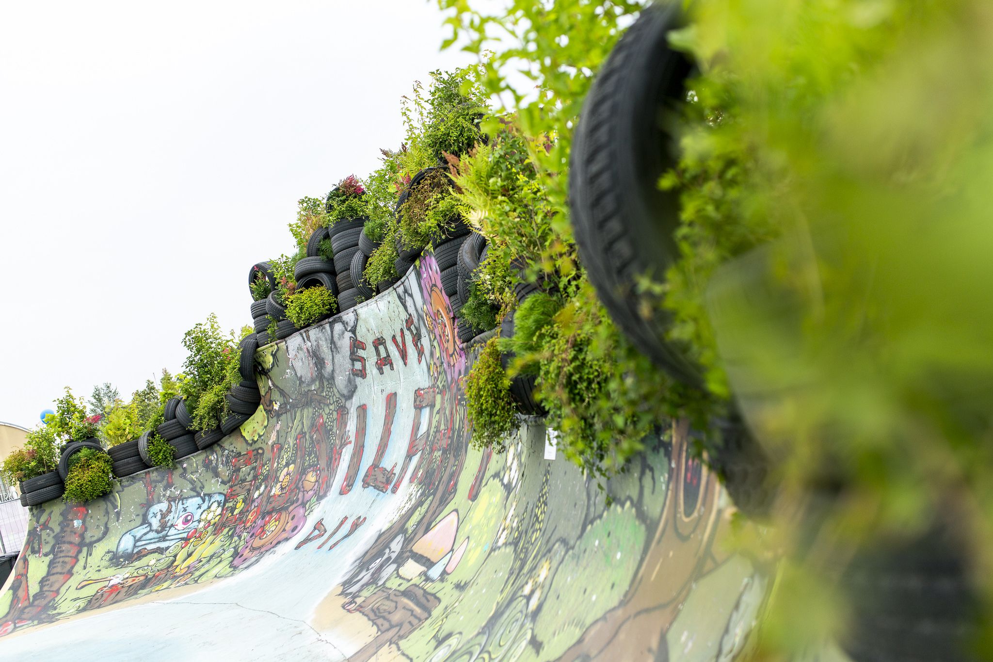 A skatepark wall with graffiti, tires and green vegetation