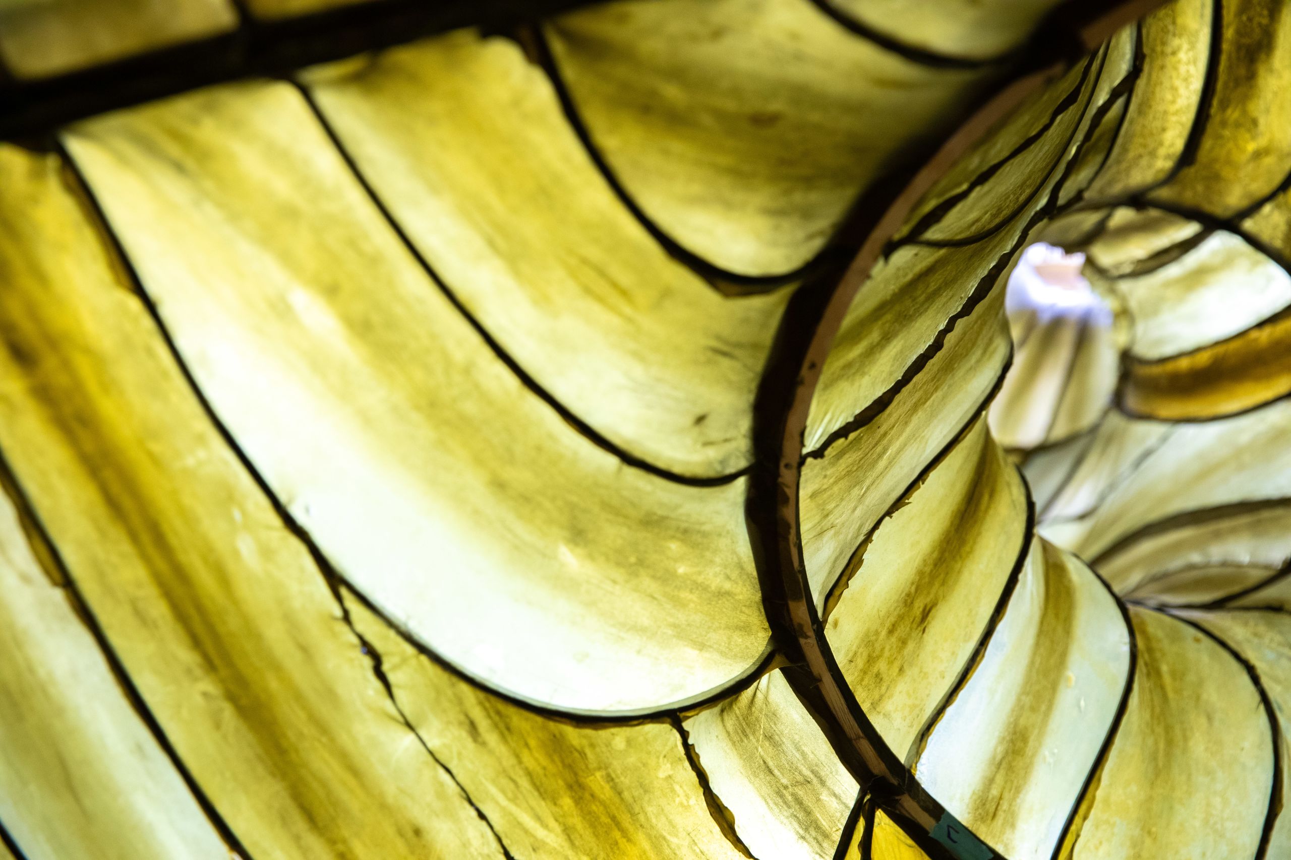 details of seaweed pavilion