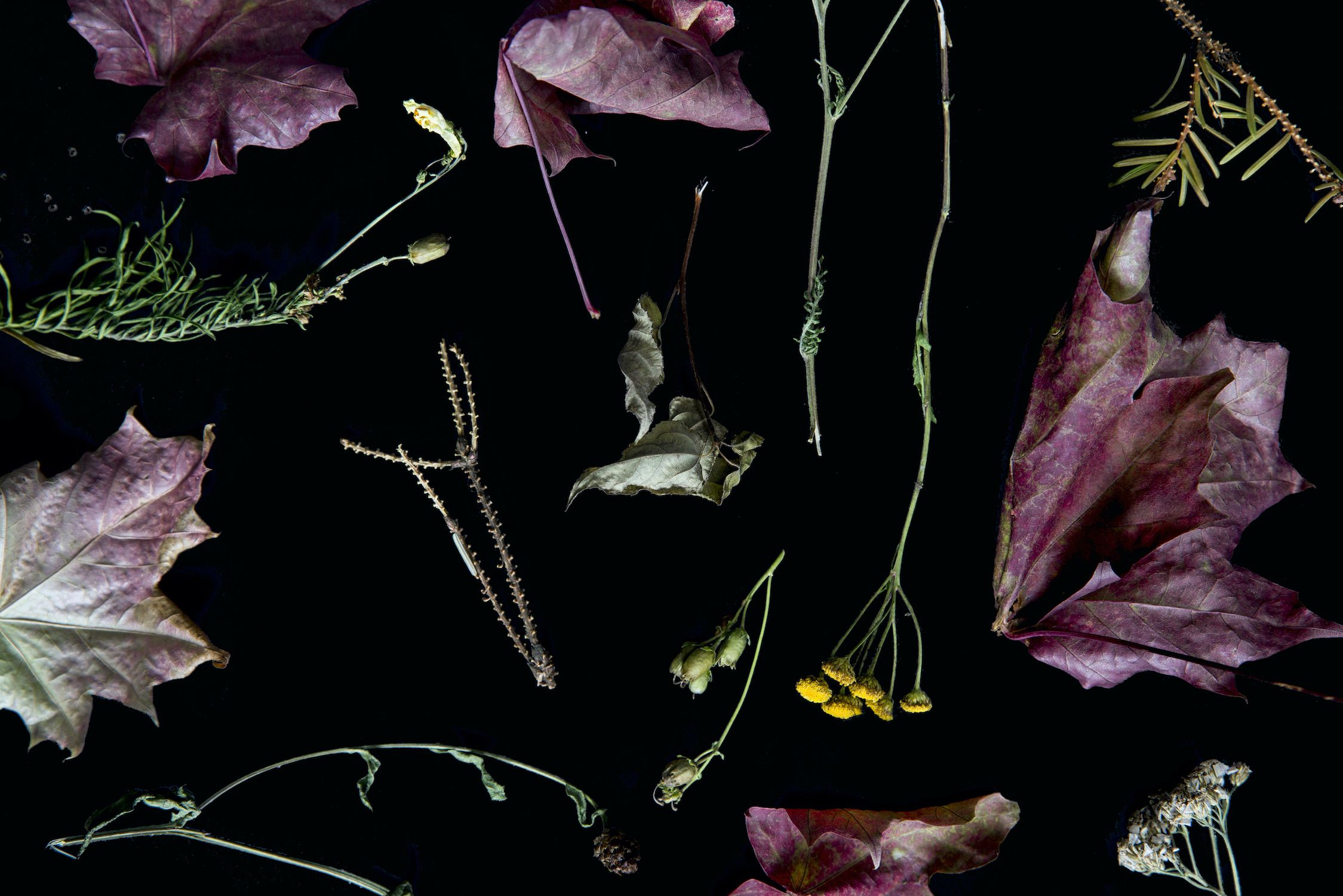 Aalto_CHEMARTS_Cookbook_Materials_from_nature
