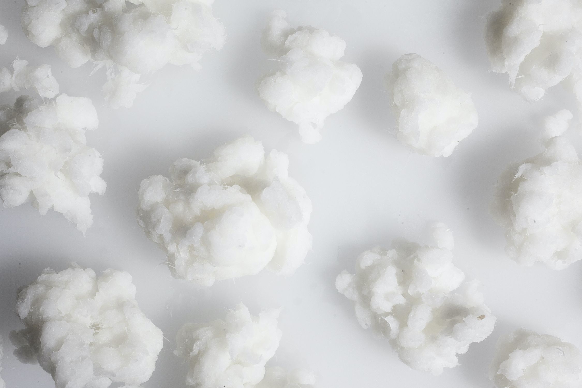 cellulose pulp formed like soft white cotton balls