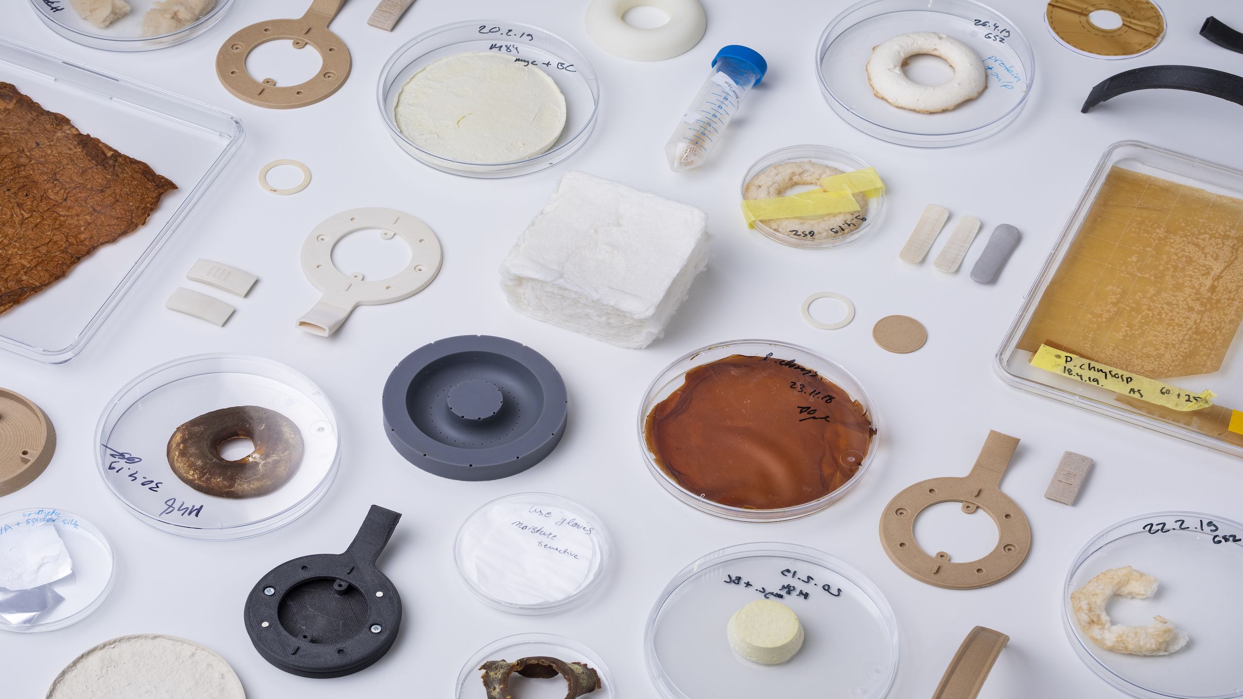 microbial headphones disassembled